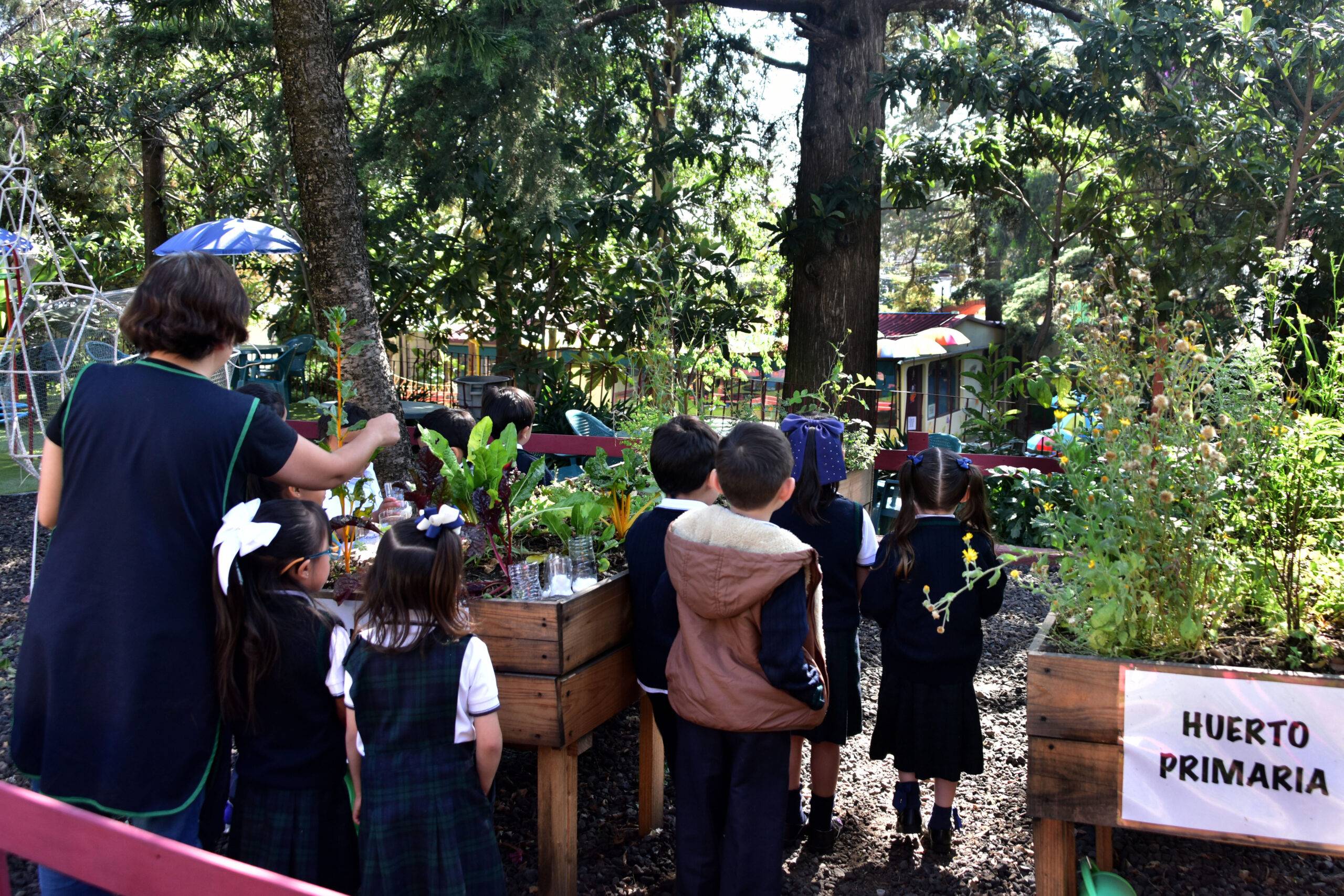 Preescolar CDMX Lowell